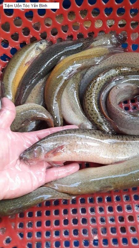 Hình ảnh Tiệm Uốn Tóc Yến Bình